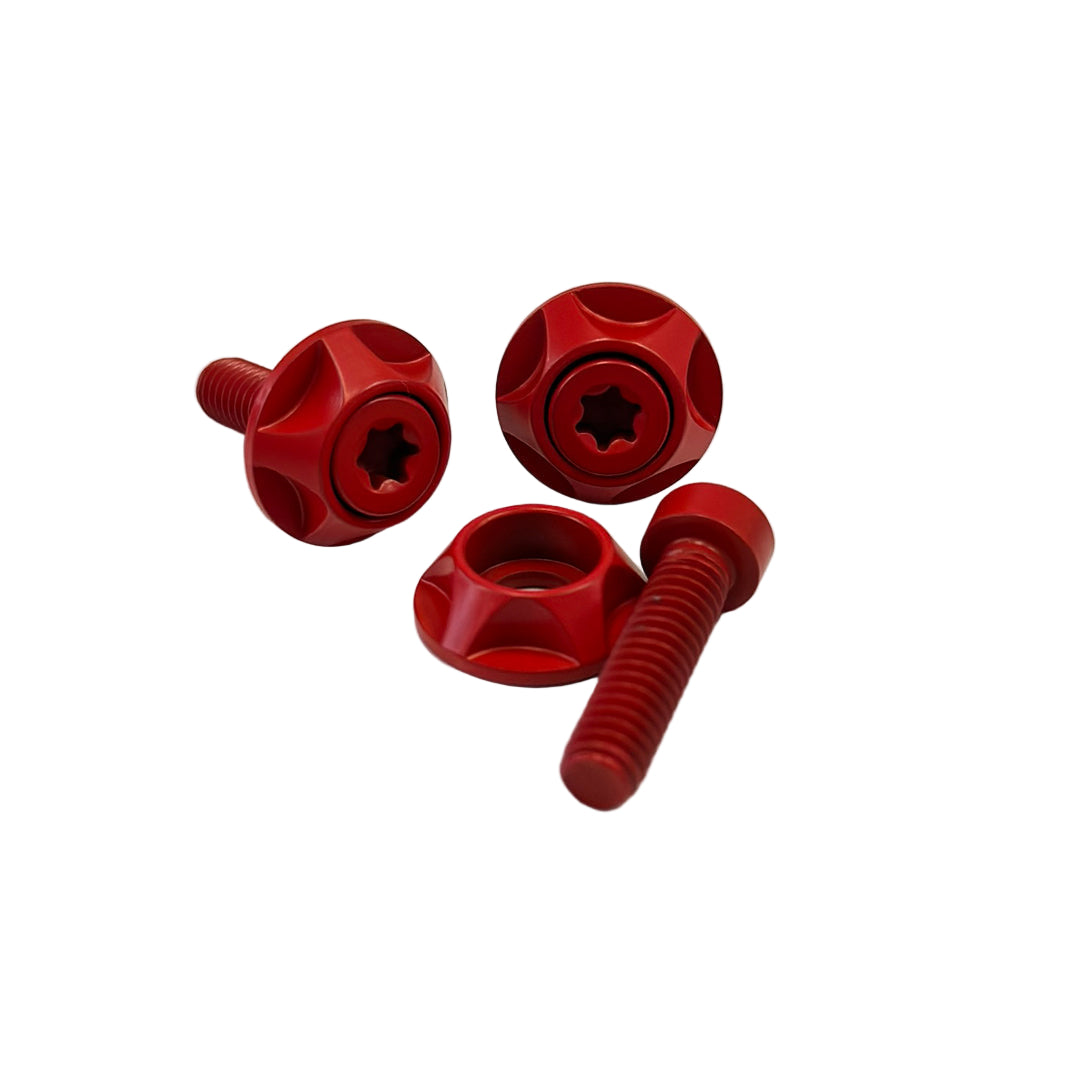 Set of red screws and bolts on a white background