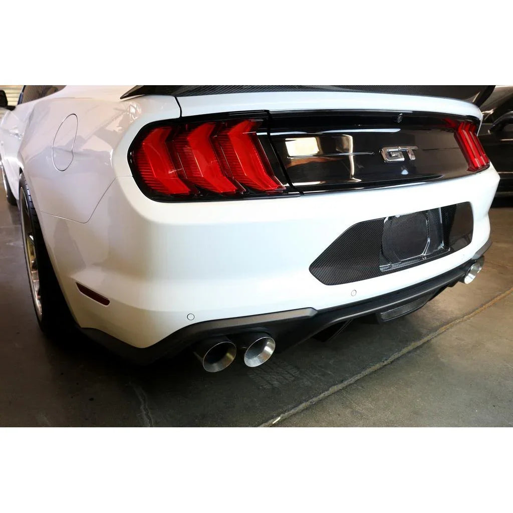 APR Performance Carbon Fiber License Plate Backing for 2018–2023 Ford Mustang