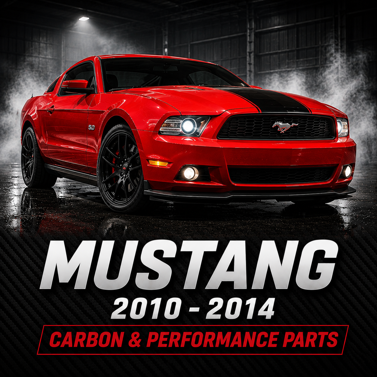 Mustang 2010-2014
