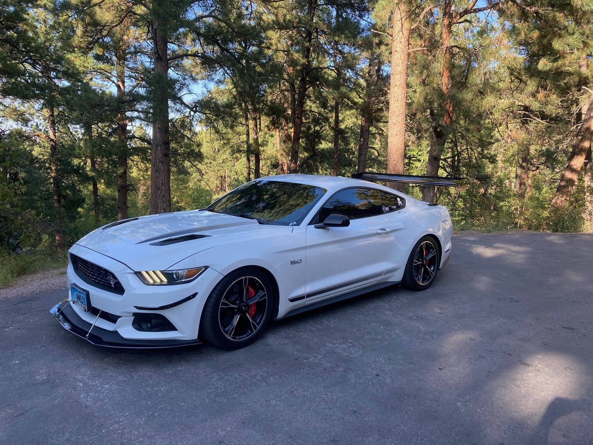 Ford Mustang Shelby GT350 / GT500 / S550 GT-250 Carbon Fiber Adjustable Rear Wing (2015–2017) by APR Performance
