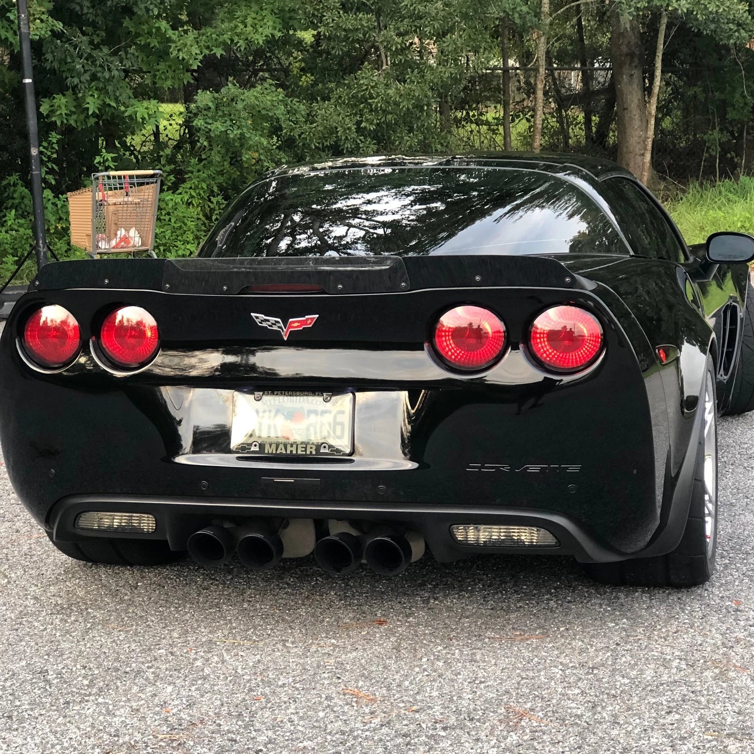 2005-2013 C6 Corvette ZR1 OEM Wicker Bill