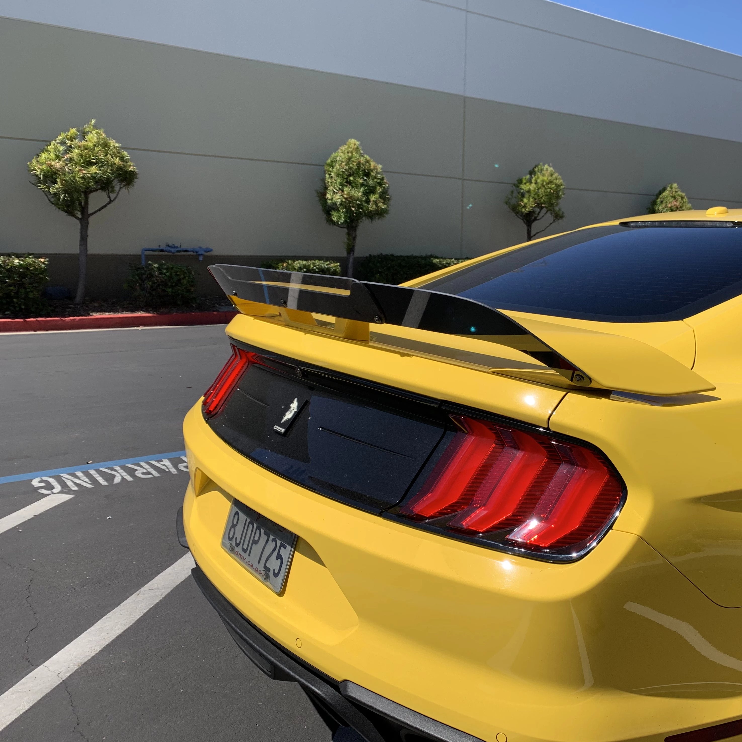 Mustang 18-23 Performance Pack Wicker Bill