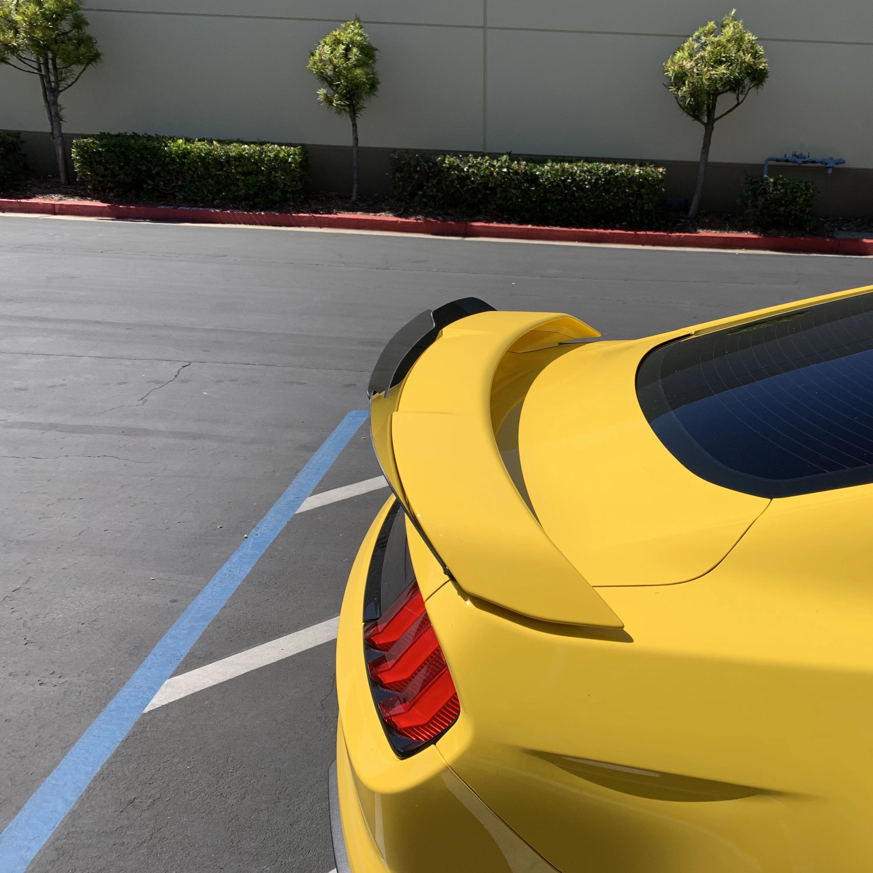 Mustang 18-23 Performance Pack Wicker Bill