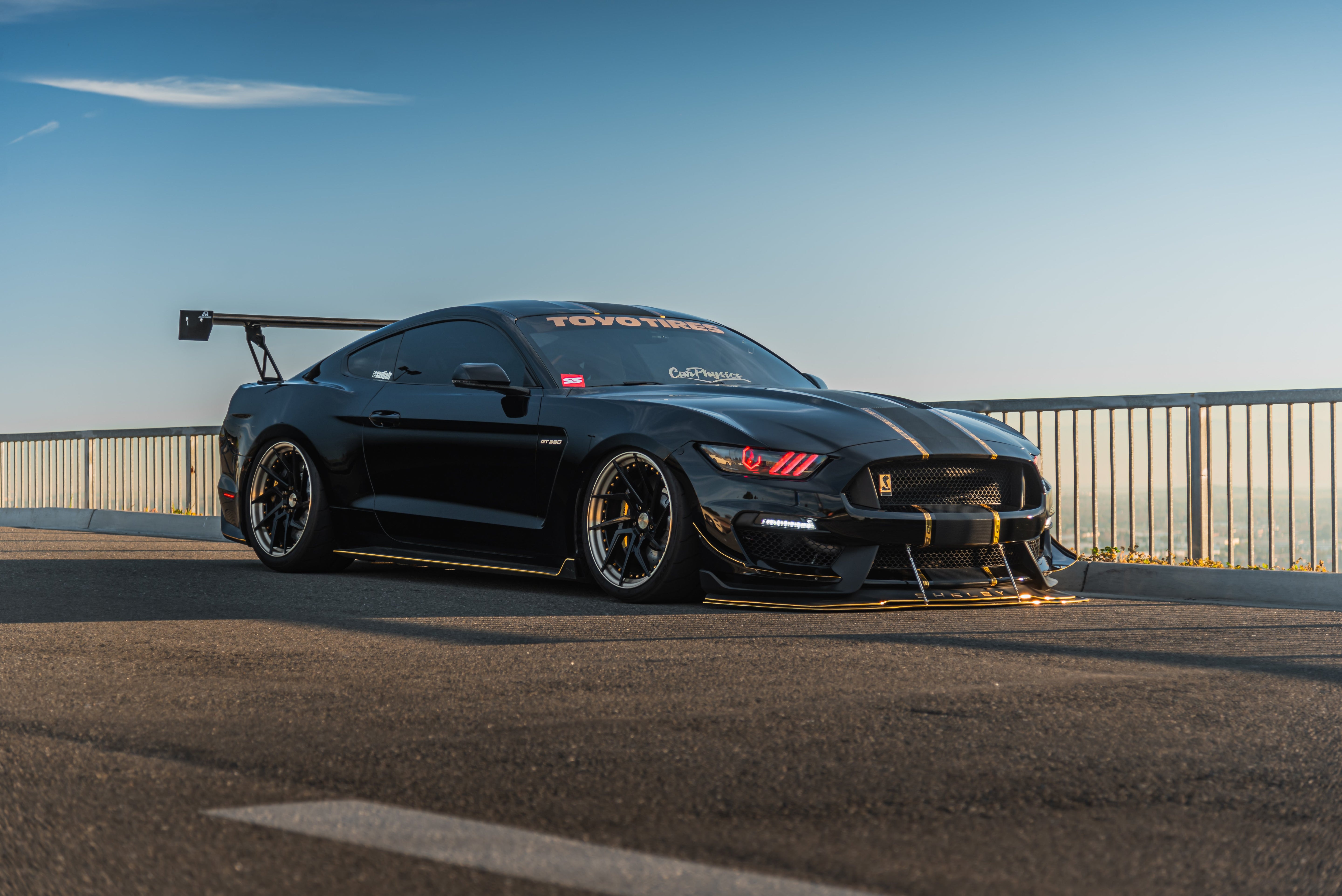 Ford Mustang Shelby GT350 / GT350R Carbon Fiber Front Wind Splitter (2015–2023) by APR Performance